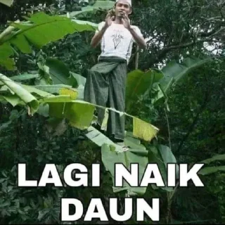 🤨 emoji siap masbro @ekucingilang Telegram sticker 9 of 120