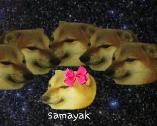 Sticker from Kakashi⚡'s Sticker Pack (@Zeroo_Twoo_Bot) 1