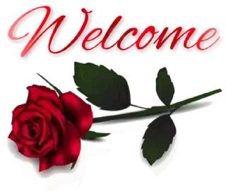 🌹 emoji 𝐂𝐮𝐭𝐞 𝐌𝐞𝐌𝐞 🦋 @indianstickermeme — @stckrRobot Telegram sticker 13 of 79