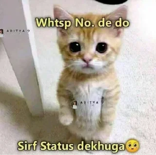 😂 emoji 𝐂𝐮𝐭𝐞 𝐌𝐞𝐌𝐞 🦋 @indianstickermeme — @stckrRobot Telegram sticker 16 of 79