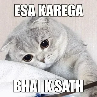🥺 emoji 𝐂𝐮𝐭𝐞 𝐌𝐞𝐌𝐞 🦋 @indianstickermeme — @stckrRobot Telegram sticker 6 of 79