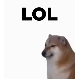 🤔 emoji 𝑭𝒖𝒏𝒏𝒚 𝑫𝒐𝒈 @indianstickermeme — @stckrRobot Telegram sticker 16 of 54