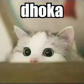 😂 emoji 𝐂𝐮𝐭𝐞 𝐌𝐞𝐌𝐞 🦋 @indianstickermeme — @stckrRobot Telegram sticker 21 of 79