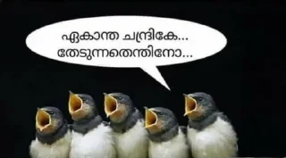 🔥 emoji 👁‍🗨 ╾━╤デ╦︻ KIDIL⃤OSKA👁‍🗨's @Sur_vivor Vol.1 Telegram sticker 14 of 43