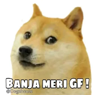 Sticker from Nikhil gujjar