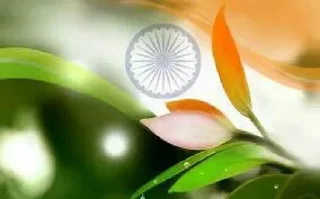 💐 emoji Jay hind 🇮🇳 @team_betu Telegram sticker 12 of 61