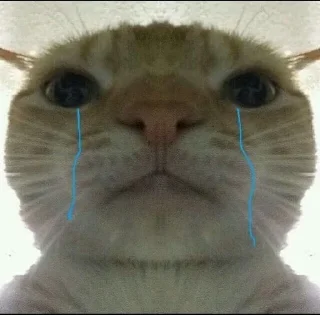 😢 emoji Vibin Cats 2 @ManasTheKing Telegram sticker 9 of 120