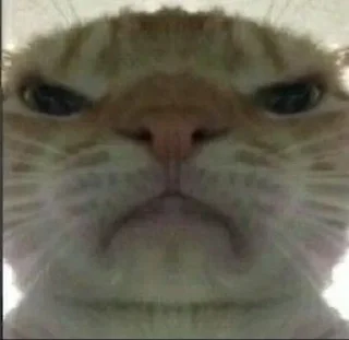 😡 emoji Vibin Cats 2 @ManasTheKing Telegram sticker 10 of 120