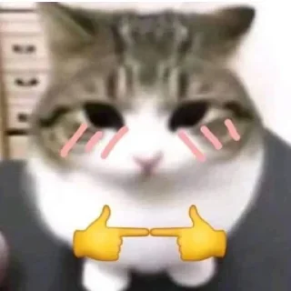 🫶 emoji Vibin Cats 2 @ManasTheKing Telegram sticker 14 of 120