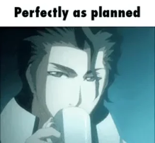 🙂 emoji [Anmol--Aizen-Kun]dayam's video pack (@Mikasa_Ackr_bot) Telegram sticker 11 of 20