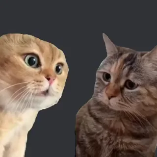 🤔 emoji 𝚂𝙰𝚃𝙾𝚁𝚄's video pack (@Mikasa_Ackr_bot) Telegram sticker 17 of 26