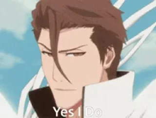 🙂 emoji [Anmol--Aizen-Kun]dayam's video pack (@Mikasa_Ackr_bot) Telegram sticker 14 of 20