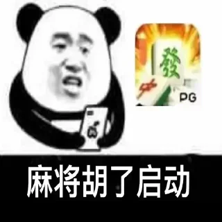 Sticker from PG电子大队 @zppaa