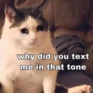 😿 emoji Ⱥxєℓ ༒︎'s sticker pack (@Marin_Roxbot) 1 Telegram sticker 12 of 100