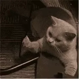 Sticker from 大和's video pack (@Marin_Roxbot)