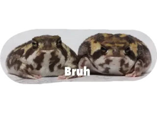Sticker from Retarded froggos