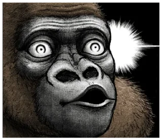 ⭐ emoji Gorilla X panda Telegram sticker 14 of 40