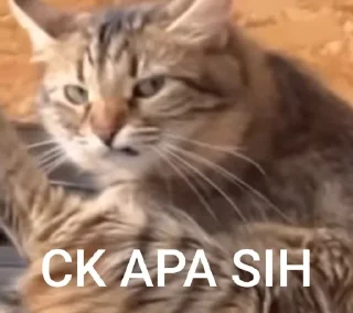 🤔 emoji milik anan Telegram sticker 18 of 97