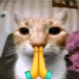 🙏 emoji Pets @stikery07 Telegram sticker 13 of 119