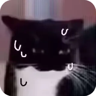 Sticker from miao~cute neko@unicouniuni3