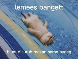 Sticker from ayang