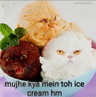 🍦 emoji Mujhe kya 2.0 pamk @r_squared_rishabh — @stckrRobot Telegram sticker 19 of 24