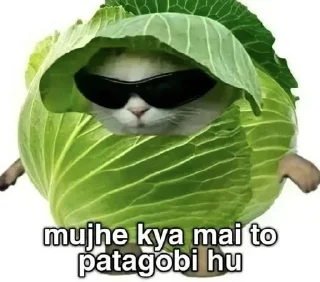 🍃 emoji Mujhe kya 2.0 pamk @r_squared_rishabh — @stckrRobot Telegram sticker 6 of 24