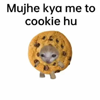 Sticker from Mujhe kya 2.0 pamk @r_squared_rishabh — @stckrRobot