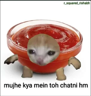 🍅 emoji Mujhe kya 2.0 pamk @r_squared_rishabh — @stckrRobot Telegram sticker 23 of 24