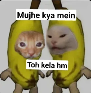 🤣 emoji Mujhe kya 2.0 pamk @r_squared_rishabh — @stckrRobot Telegram sticker 17 of 24