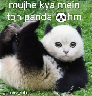 🐼 emoji Mujhe kya 2.0 pamk @r_squared_rishabh — @stckrRobot Telegram sticker 24 of 24