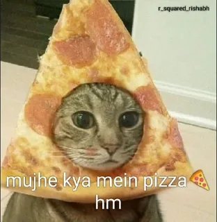 🍕 emoji Mujhe kya 2.0 pamk @r_squared_rishabh — @stckrRobot Telegram sticker 21 of 24