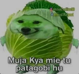 😂 emoji Mujhe kya 2.0 pamk @r_squared_rishabh — @stckrRobot Telegram sticker 13 of 24