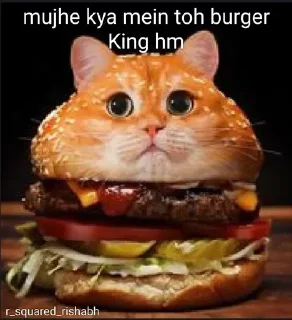 🍔 emoji Mujhe kya 2.0 pamk @r_squared_rishabh — @stckrRobot Telegram sticker 22 of 24