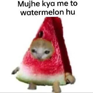 🍃 emoji Mujhe kya 2.0 pamk @r_squared_rishabh — @stckrRobot Telegram sticker 8 of 24