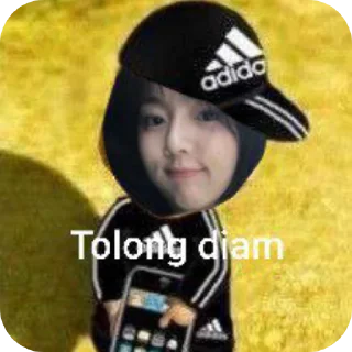 🎩 emoji Adidas premium Telegram sticker 14 of 14