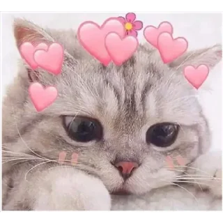 ❤ emoji QTπ yogu @BADDAsS_FUFA Telegram sticker 7 of 120