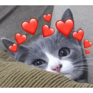 ❤ emoji QTπ yogu @BADDAsS_FUFA Telegram sticker 8 of 120