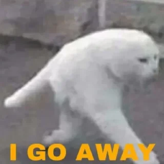 😶 emoji Rc's Hitsuki Pack Telegram sticker 23 of 81