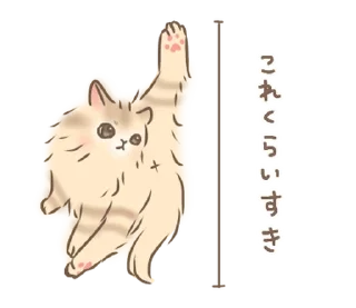 🐱 emoji ₍ 𐌑ᥲκi᧐ ᴛɦᥱ 𑀝ᥲᴛ ₎ ˚₊· ♡ @mewsticks Telegram sticker 23 of 40