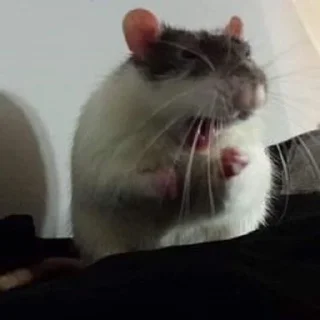 Sticker from im just a mouse