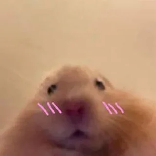 Sticker from im just a mouse