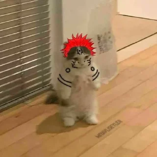 Sticker from cat anime @xvieravelyn @Hinatastick
