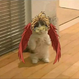 Sticker from cat anime @xvieravelyn @Hinatastick