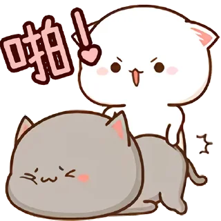 👏 emoji 蜜桃猫_B站装扮表情 Telegram sticker 22 of 30