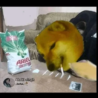 Sticker from I AM HARSH