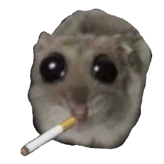 🚬 emoji punya diraa @indiraaa_48bot Telegram sticker 19 of 120