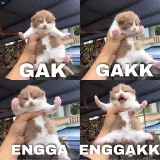 🤓 emoji punya diraa @indiraaa_48bot Telegram sticker 16 of 120