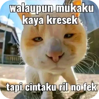 Sticker from punya ev cantik