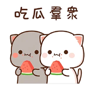 🍉 emoji 蜜桃貓13 @moe_sticker_bot Telegram sticker 12 of 24